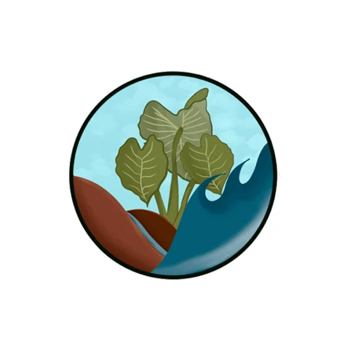 Hawaiian Philanthropy