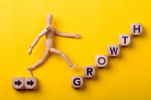 Strategies for Growing Small Companies Successfully